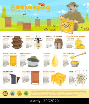 Beekeeping and honey production or apiary infographic poster template. Vector design of diagrams and icons for bees and honeycomb, statistics on beehi Stock Vector