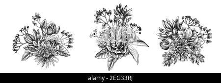 Flower bouquet of black and white viburnum, hypericum, tulip, aster, leucadendron, amaryllis Stock Vector