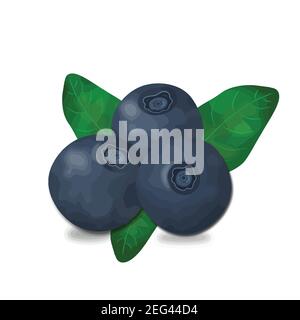 Blueberries with leaves isolated on white background, vector illustration Stock Vector