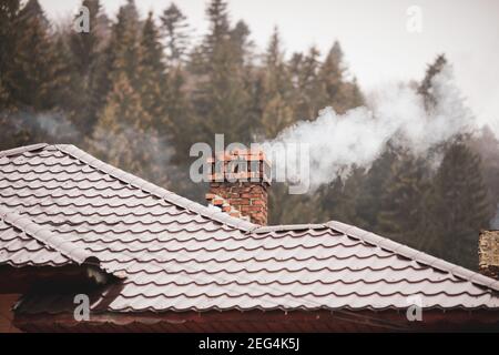 Smoking chimney with a cone trees forest in the background, in a mountain area of Romania during a foggy and cold early winter day. Stock Photo