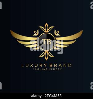 TB Letter Initial with Royal Template.elegant with crown logo vector, Creative Lettering Logo Vector Illustration art. Stock Vector