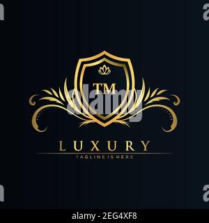 TM Letter Initial with Royal Template.elegant with crown logo vector, Creative Lettering Logo Vector Illustration art. Stock Vector