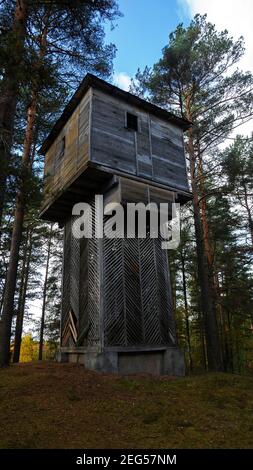 Unusual tower house in the forest. Fancy domus for singleton, and observation tower (crow's nest) Stock Photo