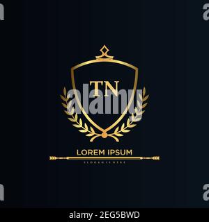 TN Letter Initial with Royal Template.elegant with crown logo vector, Creative Lettering Logo Vector Illustration art. Stock Vector