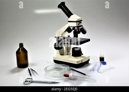scientist looking through microscope Stock Photo