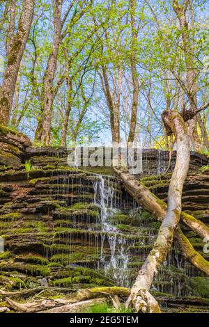 Waterfall on a cliff with old wooden logs Stock Photo