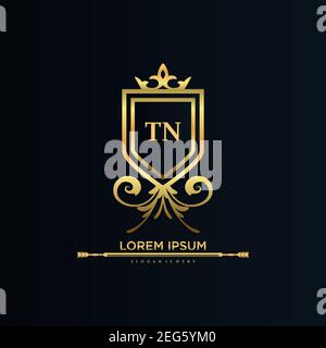 TN Letter Initial with Royal Template.elegant with crown logo vector, Creative Lettering Logo Vector Illustration art. Stock Vector