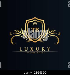 TB Letter Initial with Royal Template.elegant with crown logo vector, Creative Lettering Logo Vector Illustration art. Stock Vector