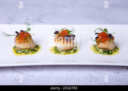 Scallops with caviar, microgreens and green sauce on a white plate. Close-up. Stock Photo