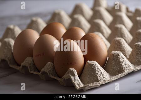 Selective focus shot of carton box with eggs Stock Photo
