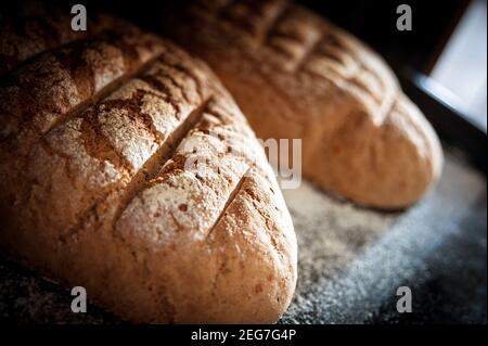 Fresh homemade crispy Bread Stock Photo