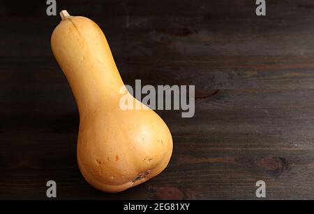 Ripe Butternut Squash Isolated on Dark Brown Wooden Table Stock Photo