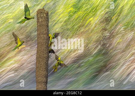The colours of nature .... Stock Photo