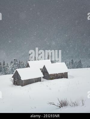 Fantastic landscape with snowy mountains, trees and houses. Carpathian mountains, Ukraine, Europe Stock Photo