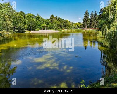 Green lake in park with trees around at sunny day Stock Photo