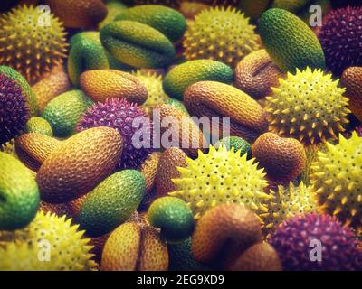 Pollen allergy is also known as hay fever or allergic rhinitis.