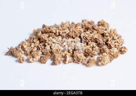 Beetroot seeds isolated on white background. Seeds of Detroit 2 Crimson Globe beetroot. Beta vulgaris Detroit 2 crimson globe seed. Stock Photo