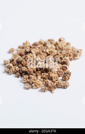 Beetroot seeds isolated on white background. Seeds of Detroit 2 Crimson Globe beetroot. Beta vulgaris Detroit 2 crimson globe seed. Stock Photo