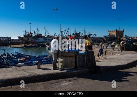 Essaouira, Morocco - April 15, 2016: Fisherman preparing bait in the harbor at the city of Essaouira, with the the traditional fishing boats on the ba Stock Photo