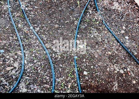 black dirty irrigation hoses lie on the ground with many small stones Stock Photo