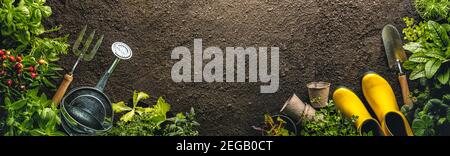 Gardening tools and seedlings on soil Stock Photo