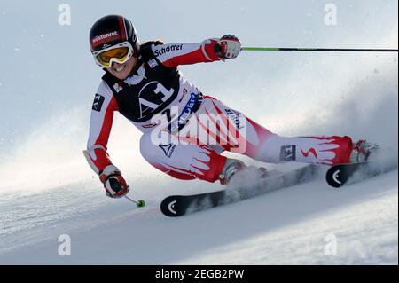 Elisabeth GOERGL will be 40 years old on February 20, 2021, Elisabeth GOERGL, AUT, Aktion. Ski World Cup; women's giant slalom in Soelden, Alpine skiing, Rettenbach Glacier on October 24, 2009. Â | usage worldwide Stock Photo