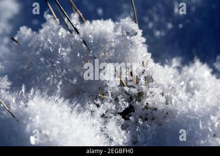 Ice crystals on the ground on a freezing cold day in winter in Scotland Stock Photo