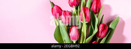 Pink tulips over pink background Stock Photo