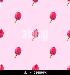 Pink tulips over pink background Stock Photo