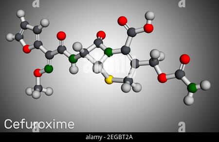 Cefuroxime molecule. It is second-generation cephalosporin antibiotic for the treatment of pneumonia, meningitis, otitis media, sepsis. Molecular mode Stock Photo