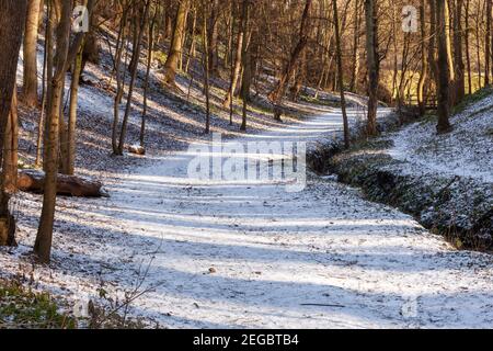 A broad tree lined, curving and snow covered track through woodland in winter with sun streaming through the trees Stock Photo