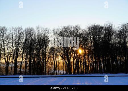 Evening sunset with dark silhouette of trees and snow in the foreground. Stock Photo