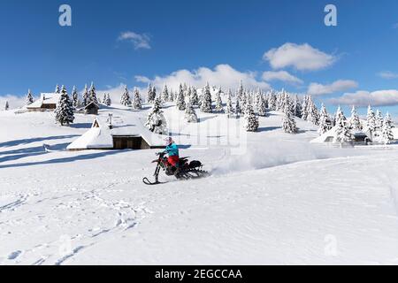 Snowmobiler enjoys a fresh-air outing on woodsy trails, Velika planina, Slovenia Stock Photo