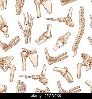 Human joints and body parts bones seamless pattern. Vector sketch spine pelvis, leg knee or shoulder scapula and elbow, arm and hand wrist with finger Stock Vector