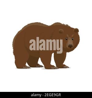Brown bear animal cartoon icon of wild forest predator. Grizzly bear standing and looking at viewer isolated symbol for hunting sport, zoo mascot and Stock Vector