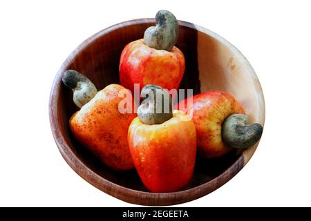 Cashew fresh originating from Para, Brazil Stock Photo