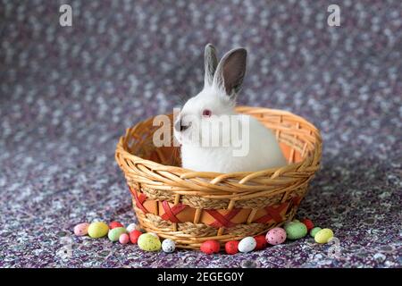 White Easter Bunny with red eyes in a wooden basket with painted eggs Stock Photo
