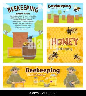 Beekeeping posters flat design of apiary and beekeeper. Man with honeycomb taking honey from beehive to jar or barrel with bees swarm flying around on Stock Vector