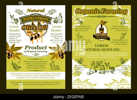 Olive oil product poster or brochure template of green olives and organic farm cooking oil. Vector design of leaf branches on bottle and olive oil jar Stock Vector