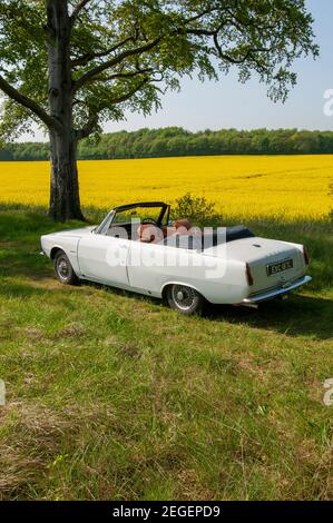 Classic Rover P6 2000 convertible factory prototype car at a car club ...