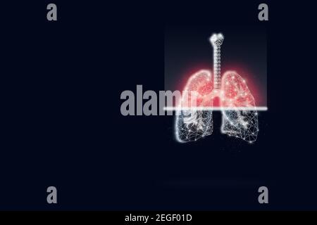 Scanning human lungson dark blue background. The concept of a healthy lungs. Stock Photo
