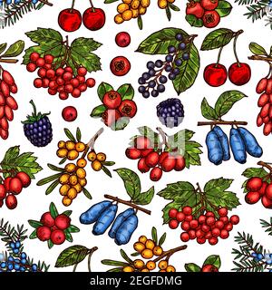 Berries and berry fruits sketch pattern background of fresh forest or garden berry harvest. Vector seamless pattern of blueberry, blackberry or strawb Stock Vector