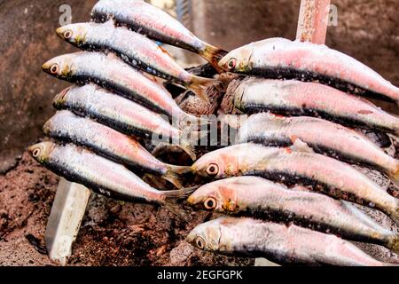Roasted sardines on a spit in southern Spain in summer Stock Photo