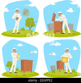 Beekeeper at apiary taking honey vector flat design for beekeeping. Beekeeper man in protective outfit with honeycomb or honey jar at beehive with bee Stock Vector