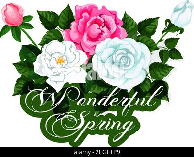 Spring roses bunch icon for springtime seasonal holiday or greeting card design. Vector isolated red and white blooming rose bouquet of spring floral Stock Vector