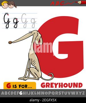 Educational cartoon illustration of letter G from alphabet with greyhound dog animal character for children Stock Vector