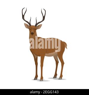 Deer animal icon. Vector isolated zoology flat design of forest wild deer or reindeer buck with antlers for wildlife fauna and nature zoo or open seas Stock Vector