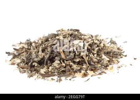 Jasmine oolong Chinese tea  isolated on white background Stock Photo