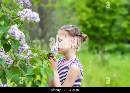 Little girl in striped dress smelling the Syringa or Lilac flowers in spring park Stock Photo