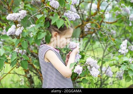 Little girl in striped dress smelling the Syringa or Lilac flowers in spring park Stock Photo